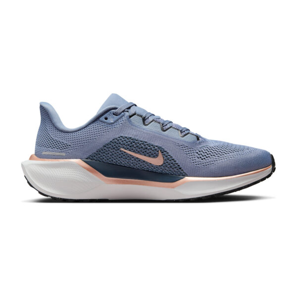 Nike Pegasus 41 Ws